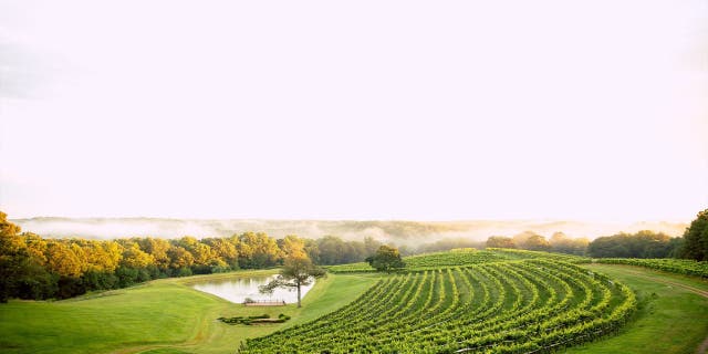 Grab an Uber, Lyft, or designated driver and tackle the 39-mile <u>wine trail</u> and sip at some of the best vineyards and wineries Northern Georgia has to offer.