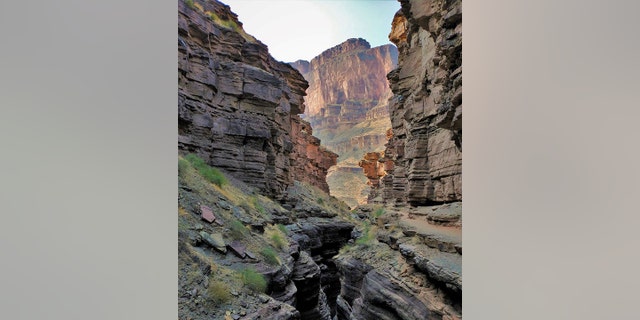 An Oregon man died after he fell 50 feet while hiking at the Deer Creek Narrows within Arizona's Grand Canyon National Park on Saturday, park officials said.