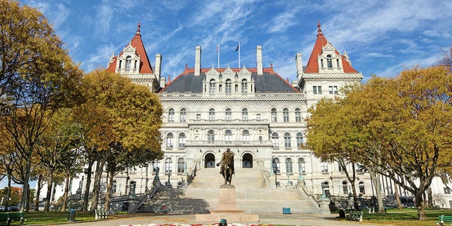 The New York State Capitol, the seat of the New York State government, is located in Albany, the capital city of the U.S. state of New York.