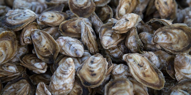 Oysters are saltwater mollusks that live in marine or brackish water habitats. Humans and other animals occasionally eat crustaceans.