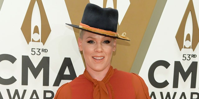 Pink previously performed with her father on MTV.