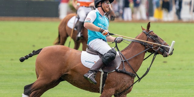 Prince Harry rode horseback at The Aspen Valley Polo Club, in Aspen, Colorado as part of a game in aid of his charity Sentebale.