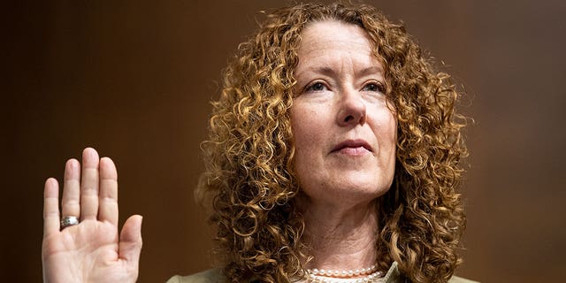 Tracy Stone-Manning, President Joe Biden's nominee for Director of the Bureau of Land Management, speaks during her confirmation hearing before the Senate Energy and Natural Resources Committee in Washington on Tuesday, June 8, 2021. (Photo by Caroline Brehman/CQ-Roll Call, Inc via Getty Images)