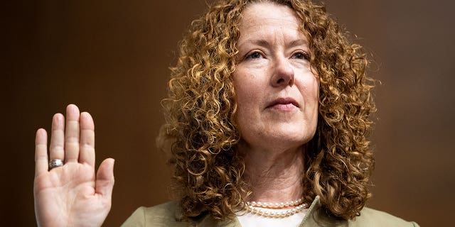 Tracy Stone-Manning, President Joe Biden's nominee for Director of the Bureau of Land Management, speaks during her confirmation hearing before the Senate Energy and Natural Resources Committee in Washington on Tuesday, June 8, 2021. (Photo by Caroline Brehman/CQ-Roll Call, Inc via Getty Images)