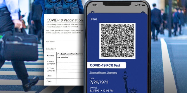 Vaccination passport illustration