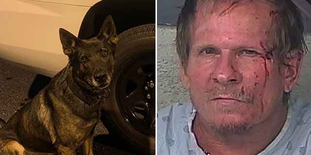 K-9 Justice caught Lewis with his "Jaws of Justice," the sheriff's office said.