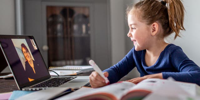 Flexible learning styles mean more reliance on computers, online connectivity and learning apps, increasingly exposing schools to the risk of cyberattacks, according to software security company McAfee.