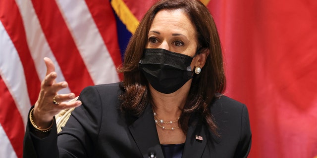 U.S. Vice President Kamala Harris meets with civil society change makers who work on LGBT, transgender, and disability rights and climate change, at the U.S. Chief of Mission's residence in Hanoi, Vietnam, Thursday, Aug. 26, 2021. (Associated Press)