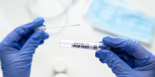 Coronavirus test in doctor hands.