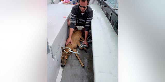 Mark Bowditch found the deer swimming in waters that were over 150-feet-deep.