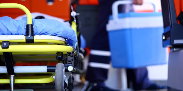 A critical step in the human organ transplantation process takes place via ambulance.