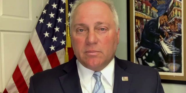 House Majority Leader Steve Scalise, R-La., said allowing non-citizens to vote would only make the border crisis worse.