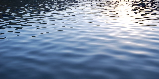 Small lake ripples and soft sunshine reflections. 