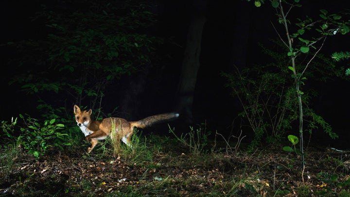 Fox News Flash top headlines for August 6