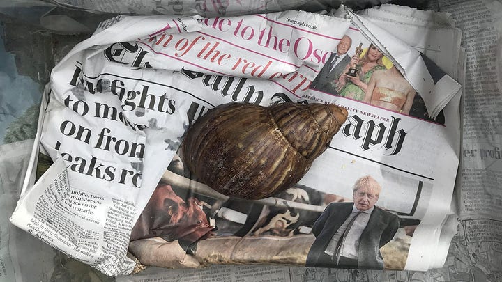 Fox News Flash top headlines for August 22