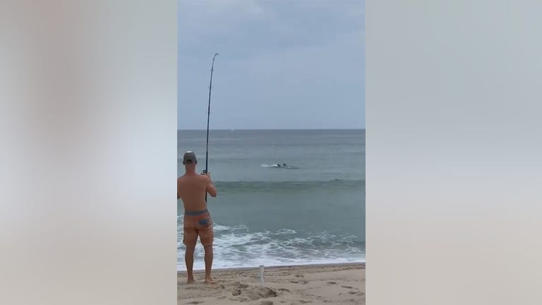 Man catches great white shark at beach after it tries to eat fish off his line