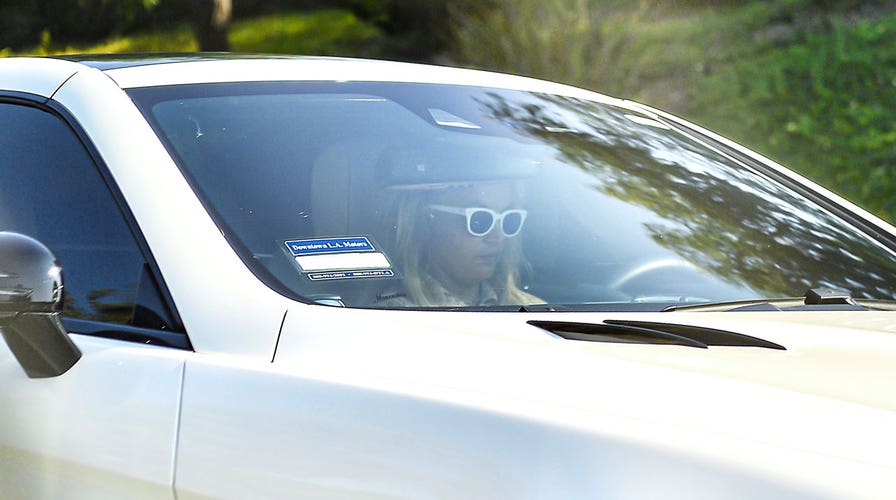 Britney spears online windshield cover