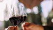 One alcoholic drink raises risk of irregular heartbeat, study suggests