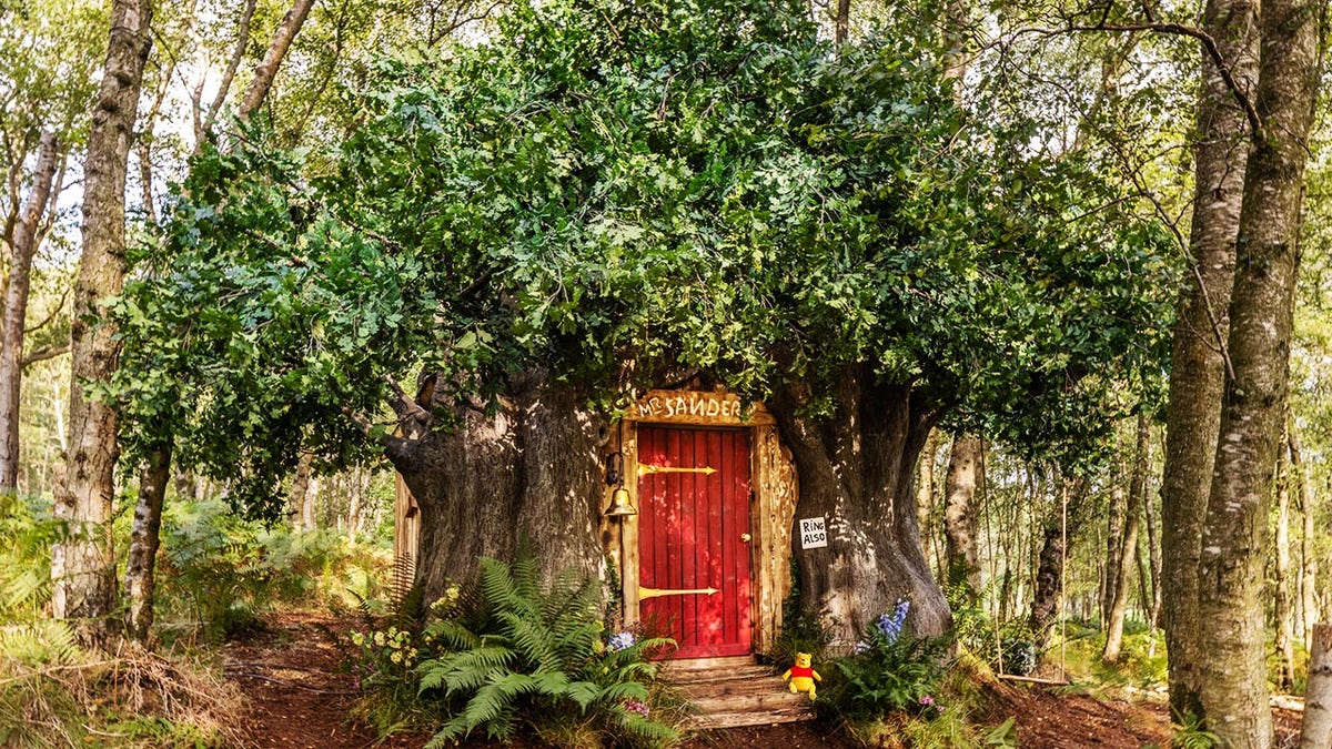 You can stay in Winnie the Pooh's treehouse in the 'Hundred Acre Wood'