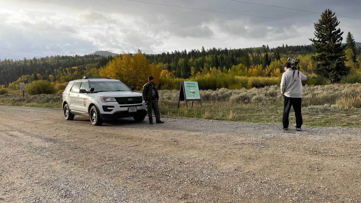 The search for missing Gabby Petito continued Sunday in Bridger-Teton National Forest in Moose, Wyoming.