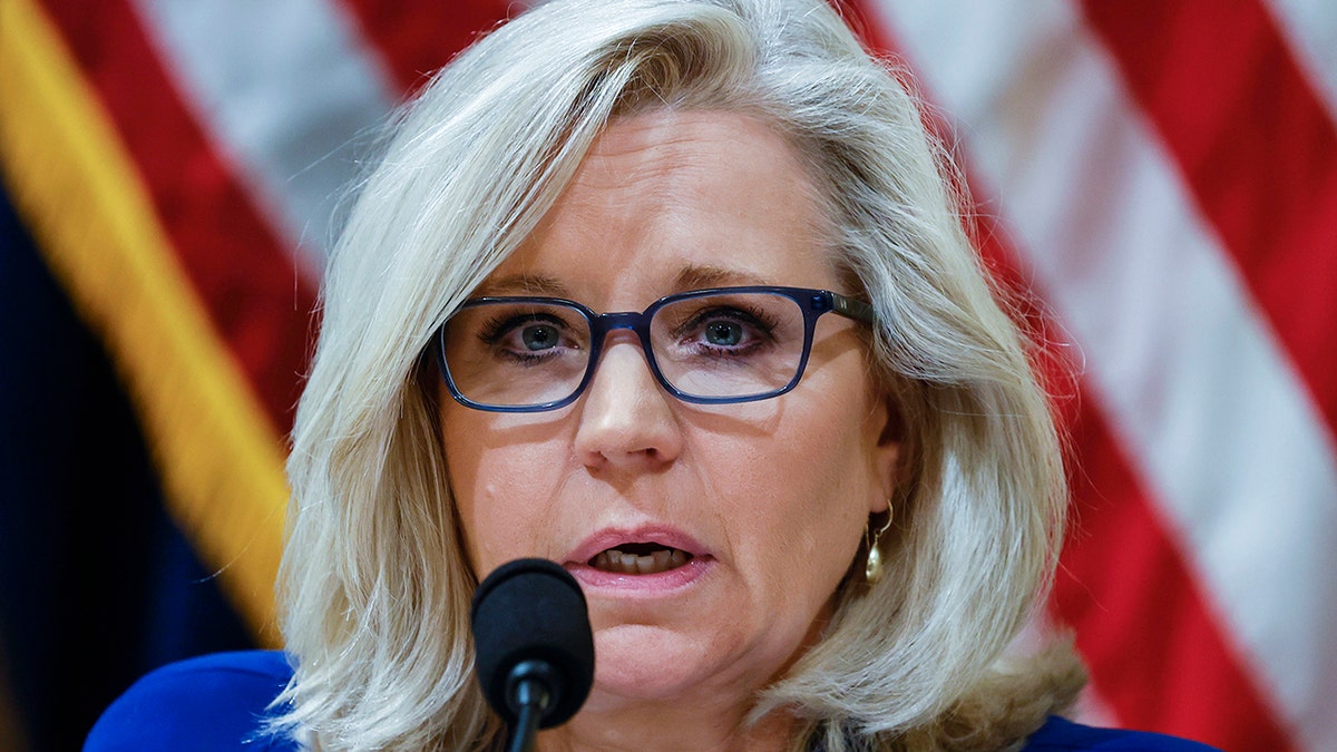 Liz Cheney targeted in new pro-Hageman ad