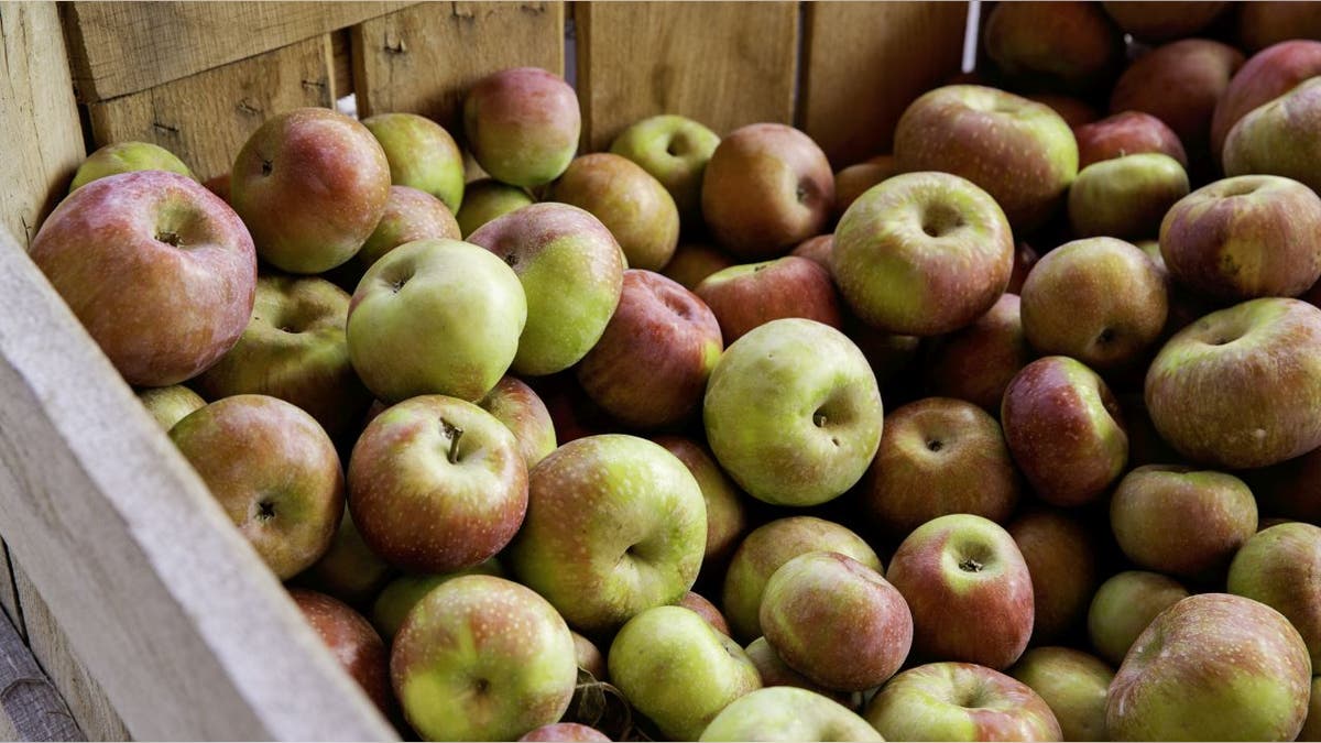 Orr’s Farm Market has fresh baked apple cider doughnuts.