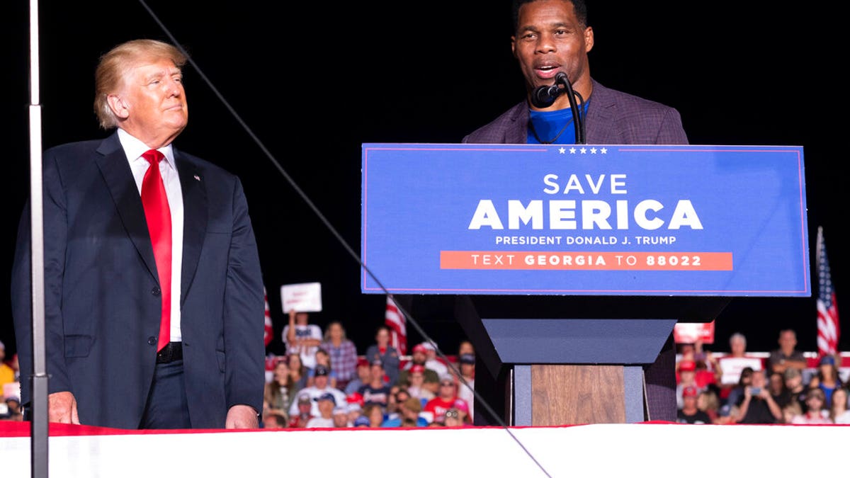 Herschel Walker speaks at former President Trump's Georgia rally