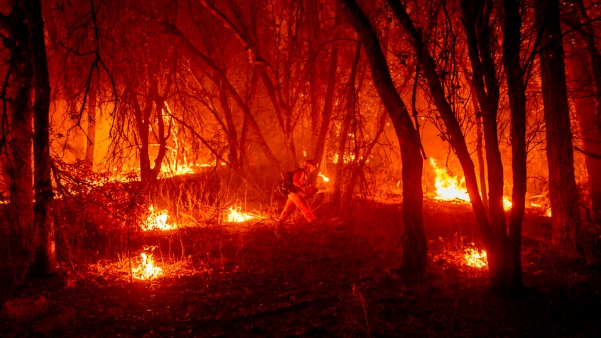 An inmate firefighter from the Trinity River Conservation Camp uses a drip torch to slow the Fawn Fire burning north of Redding, Calif. in Shasta County, on Thursday, Sept. 23, 2021.