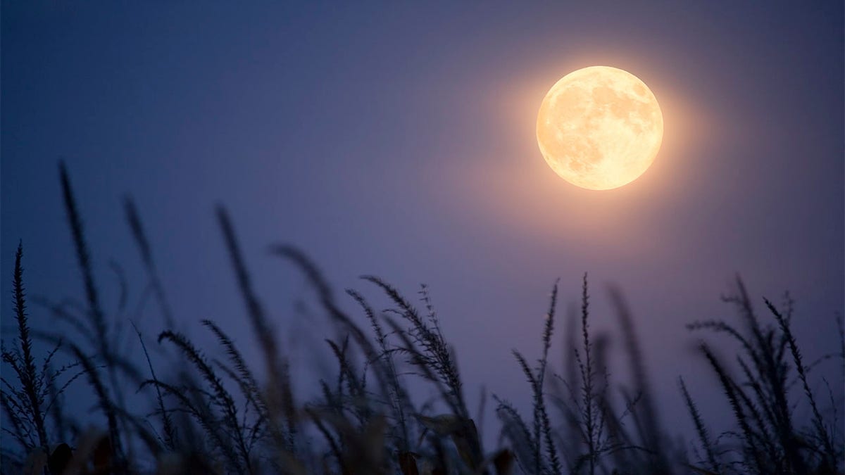 Harvest moon in October