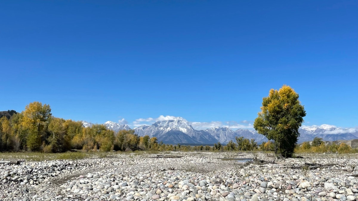 Spread Creek dispersed campgrounds in Bridger-Teton National Forest (Fox News, Audrey Conklin)