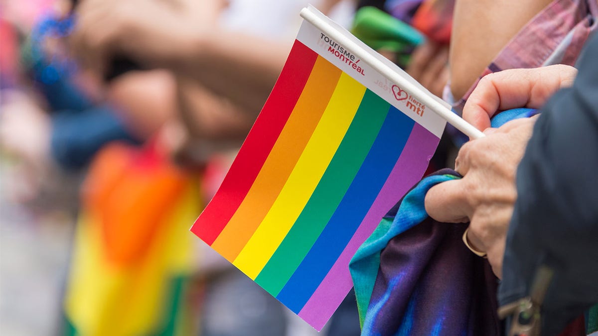 Photo shows a person holding a rainbow pride flag during a gay pride parade