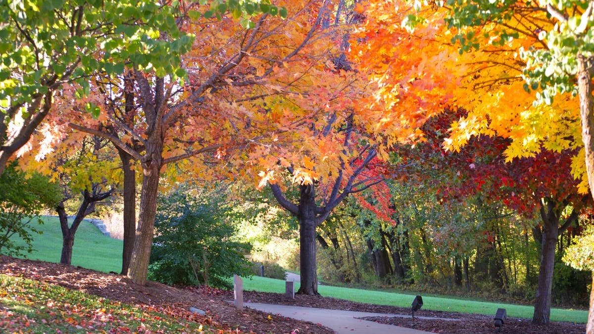 The Arbor Day Farm Lied Lodge & Conference Center has 150+ antique apples.