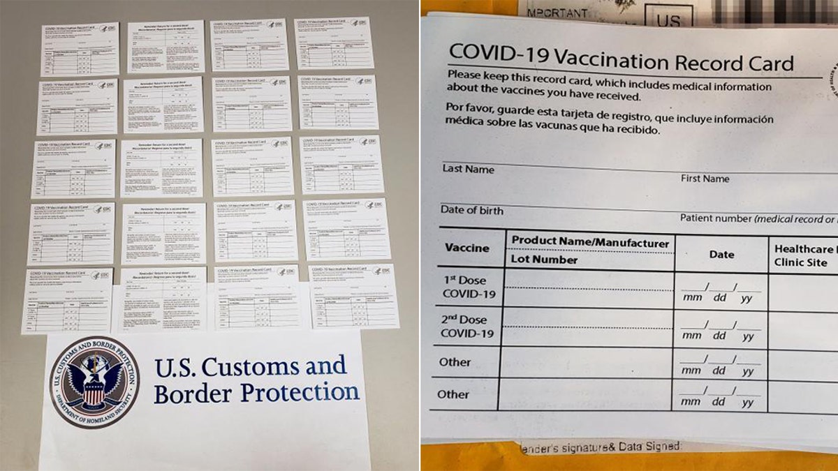A collection of fake vaccination cards shipped from China. 