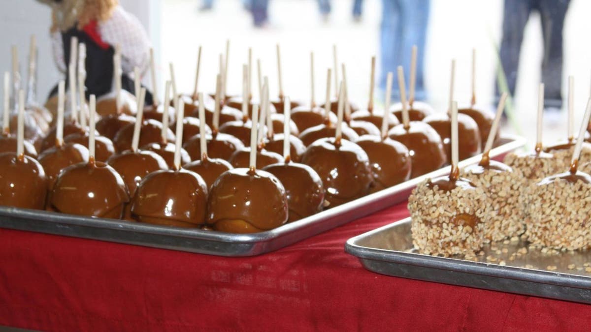 Jackson’s Orchard Nursery has fresh apple cider, caramel apples and apple crumble pie.