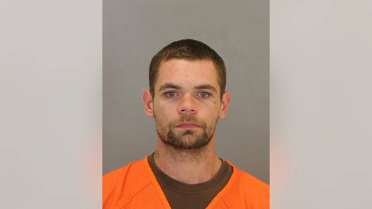 David Coleman, 38, was sentenced Tuesday to 42 to 52 years in prison for choking his girlfriend's 2-year-old daughter repeatedly.