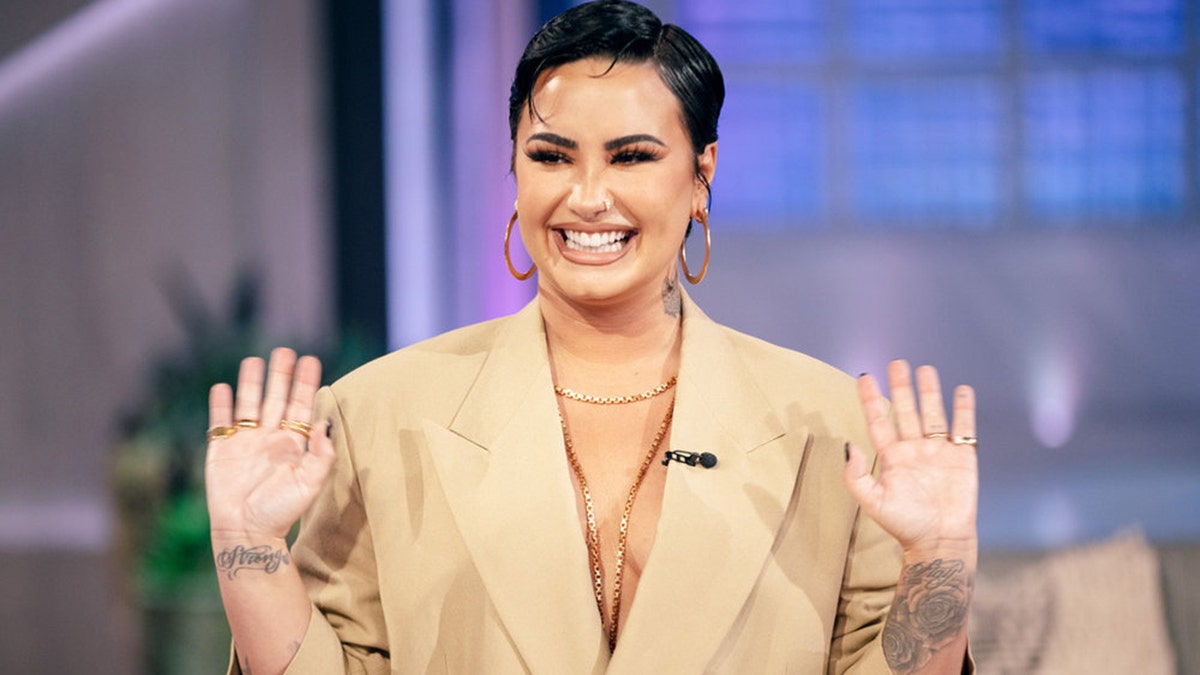 Demi Lovato on TV