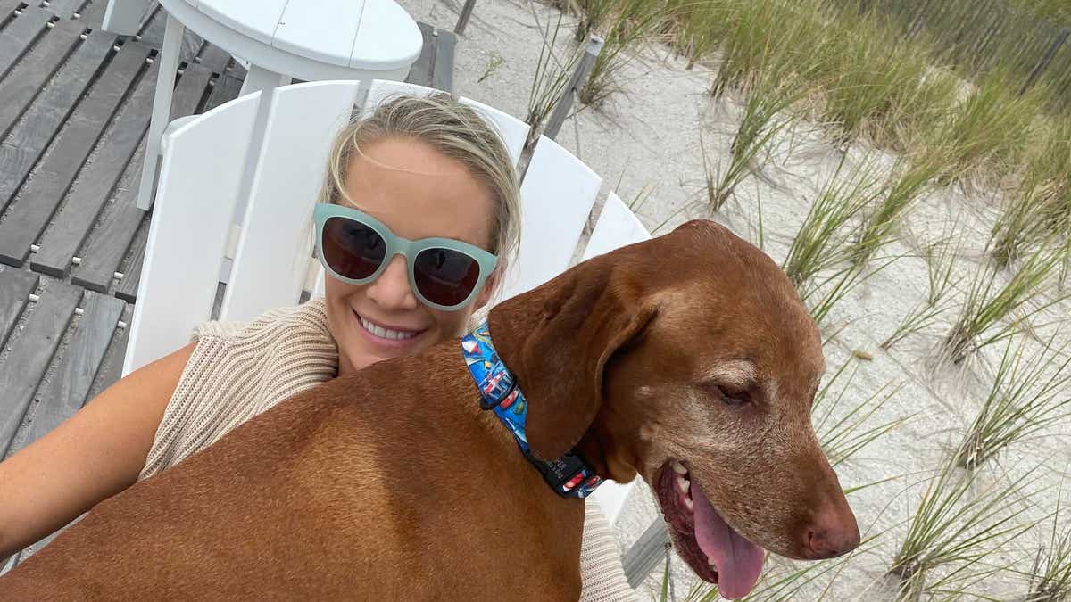 Dana perino's sale dog jasper breed