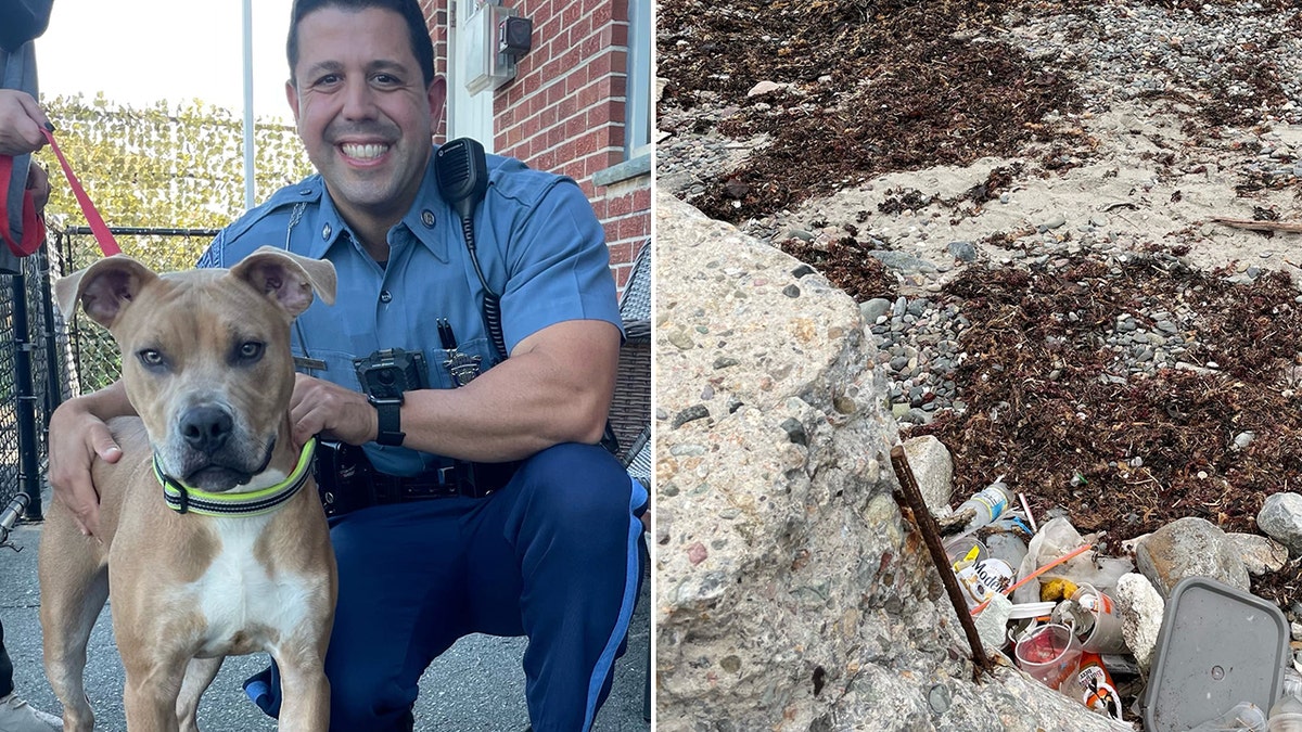 Massachusetts State Trooper Carlo Mastromattei helped rescue an abandoned pit bull mix that was chained to a metal rod on the shoreline of Short Beach in Revere and left to drown in the incoming tide.