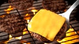A 2020 YouGov poll found that cheese is the most popular burger topping in the U.S., with 74% of respondents saying they put cheese on their burgers.