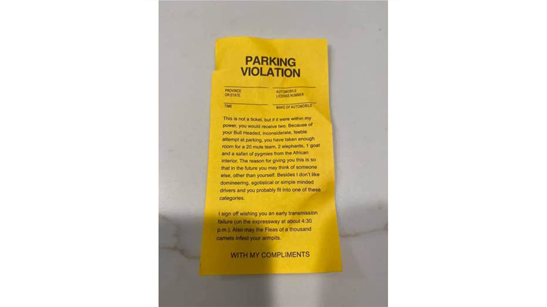 Family visiting Disney World receives harsh parking slip on their wheelchair-accessible van Family visiting Disney World receives harsh parking slip on their wheelchair-accessible van