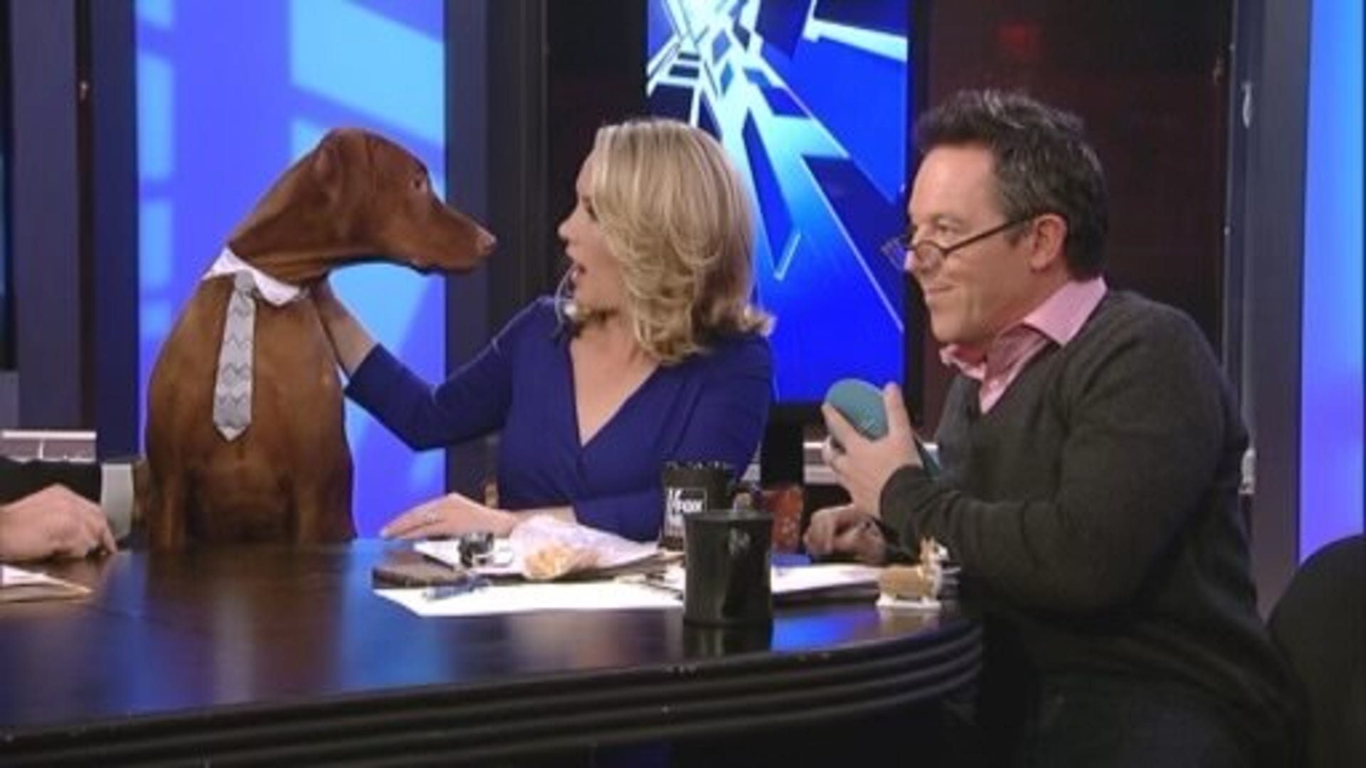 Remembering Dana Perino's Beloved Dog, Jasper | Fox News