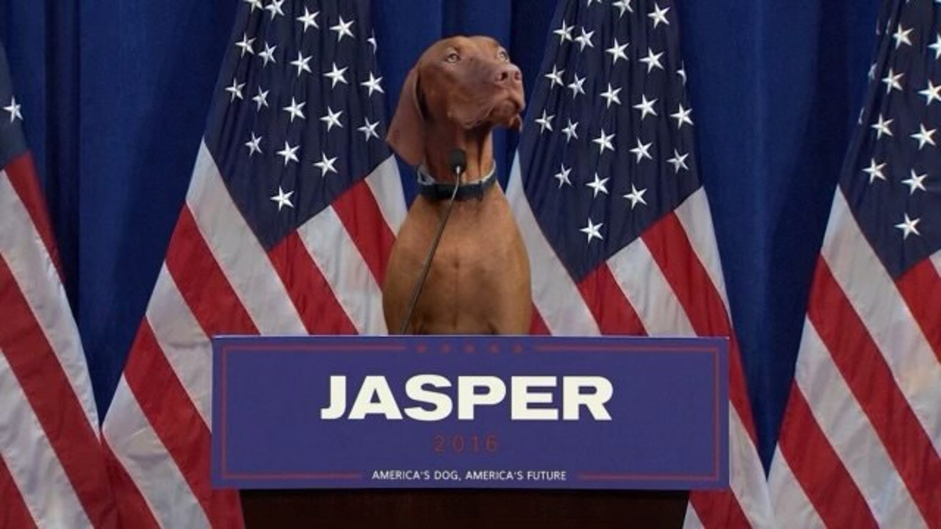Jasper2 ?ve=1&tl=1