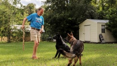 Man’s best friend: Dog alerts neighbor when owner has stroke