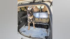 Border agents nab US citizen allegedly attempting to smuggle $600,000 of cocaine