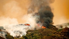 California wildfires force firefighters to use aluminum blankets in effort to save sequoias