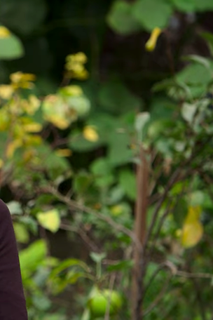 Marie Kondo's TIPS for back-to-school