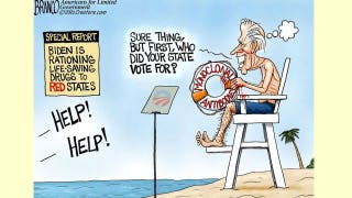 Political cartoon of the day: Lifeguard's litmus test