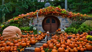 The best pumpkin patches for fall fun in America