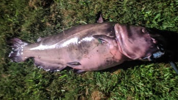 Fishing record revoked in Connecticut