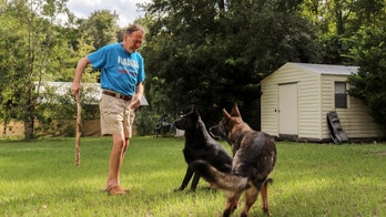 Man’s best friend: Dog alerts neighbor when owner has stroke